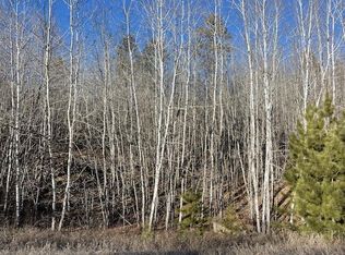 Fenwick Cir, Park Rapids, MN 56470