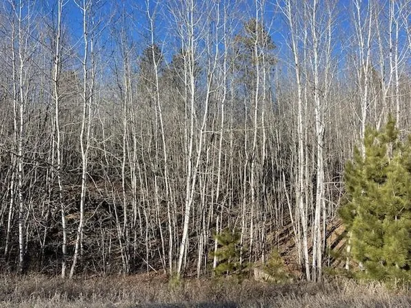 Fenwick Cir, Park Rapids, MN 56470