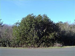 2nd image of 838 Whale Pl