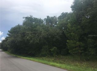 34006 August Ave, Webster, FL 33597