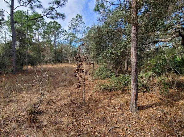 (undisclosed Address), Lecanto, FL 34461