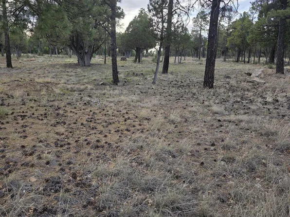 2584 ARAPAHO Drive #600, Happy Jack, AZ 86024