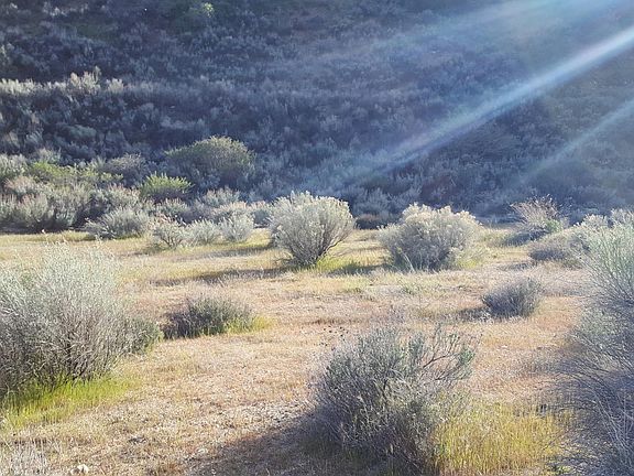 3rd image of Vic Pine Canyon Road Tweedy L