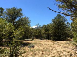 Tbd High Peaks Ranch Rd, Coaldale, CO 81222