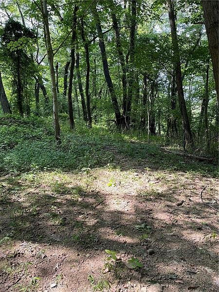 2nd image of 0 Red Mud Hollow Rd
