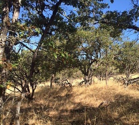 5th image of 0 NE Oak Dale Dr