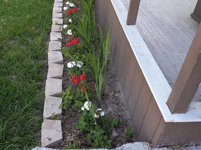 316 Vine St — Photo 13