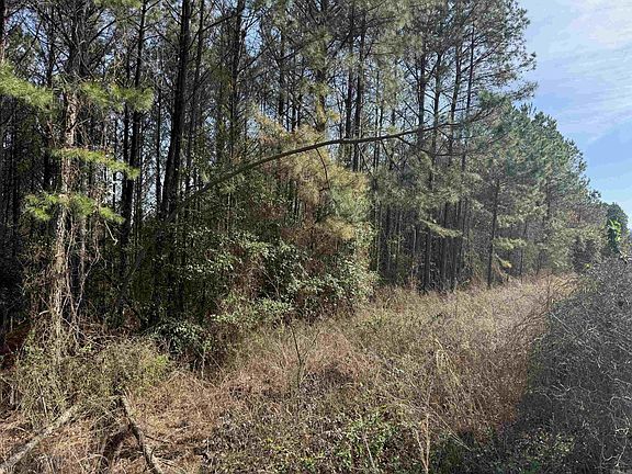 5th image of Polk Road 3 Lot 13