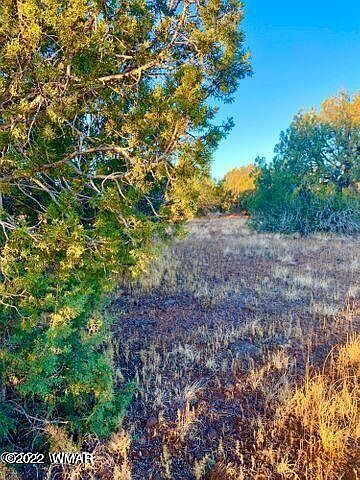 1st image of 8434 Navajo Dr