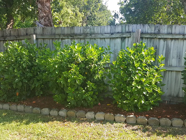 624 Sherman Rd — Photo 2