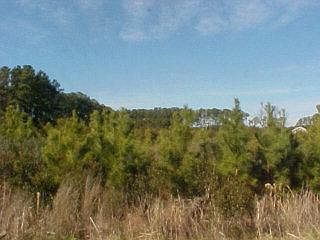 2nd image of L1A BAY
