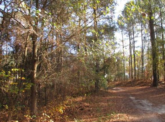 2nd image of 1236 Eagles Nest Rd