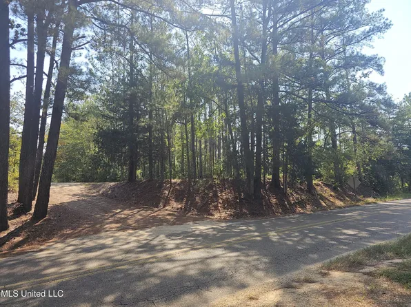 Simpson Hwy #469, Florence, MS 39073