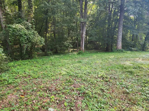 1297 Craigtown Rd, Ellijay, GA 30540