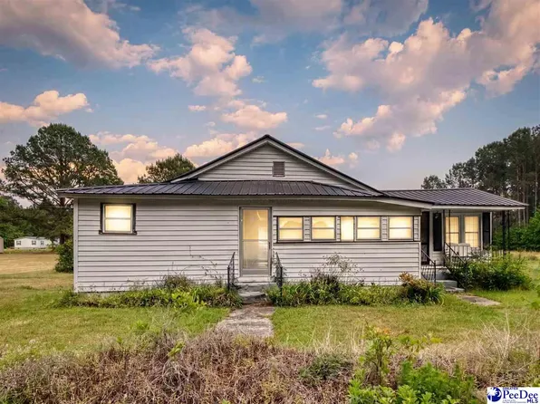 61 Willie Millan Dr, Kingstree, SC 29556