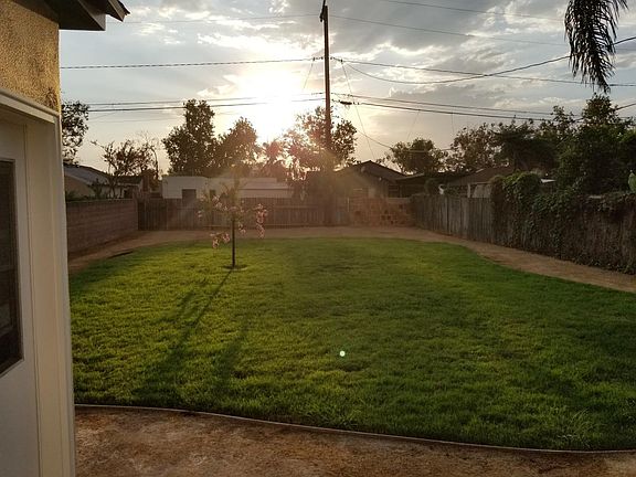 Large back yard