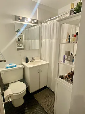 Rented by Compass | media 14