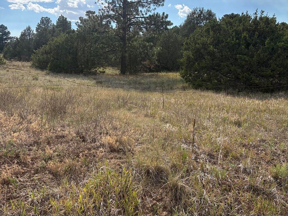 2nd image of 11 Eagle Rd
