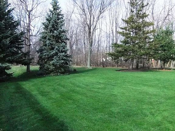 Park-like rear yard.