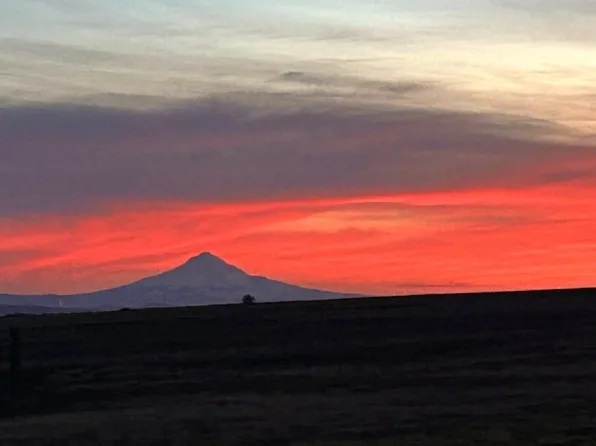 Dot Rd #1, Bickleton, WA 99322