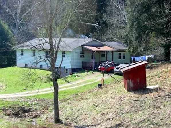 54 Laurel Gln, Looneyville, WV 25259