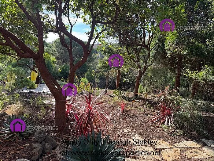 155 Farallon Ct — Photo 38