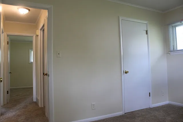 63 Pine Ct — Photo 10