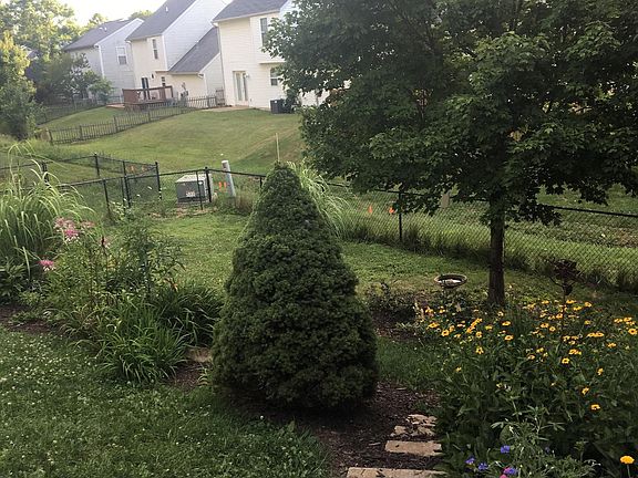 View from back of house