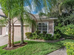 1341 Big Pine Dr, Valrico, FL 33596