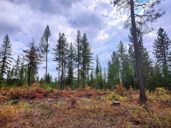 3669 E Jump Off Joe Rd #C, Valley, WA 99181