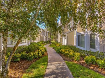 82 Monroe, Irvine, CA, 92620