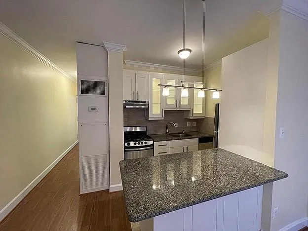 201 Massachusetts Ave NE #307 — Photo 4