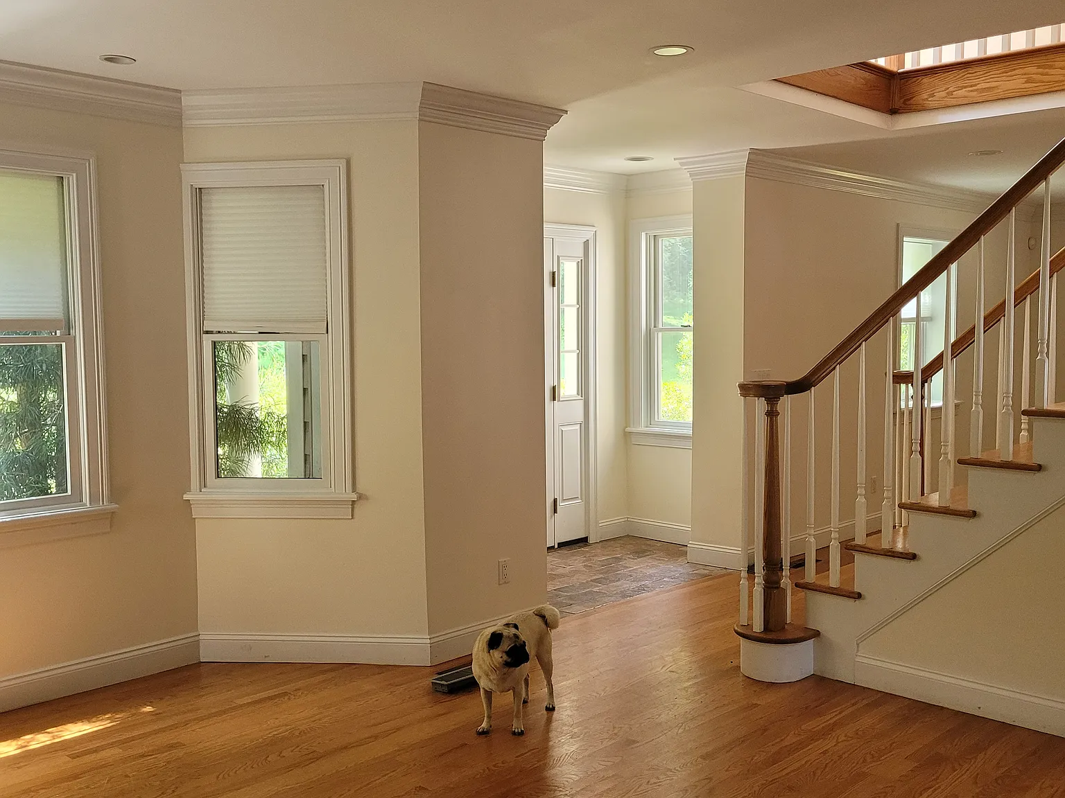 3 bed, 2.5 bath, 3704 sqft, $5,500 — Photo 3