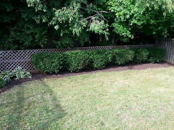 3rd image of 222 Village Dr