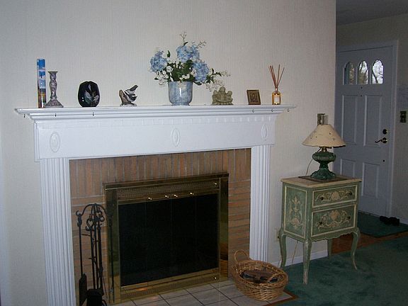 Woodburning fireplace