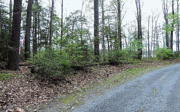 2nd image of Jennings Ln