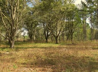 0 Hwy 316, Reddick, FL 32686