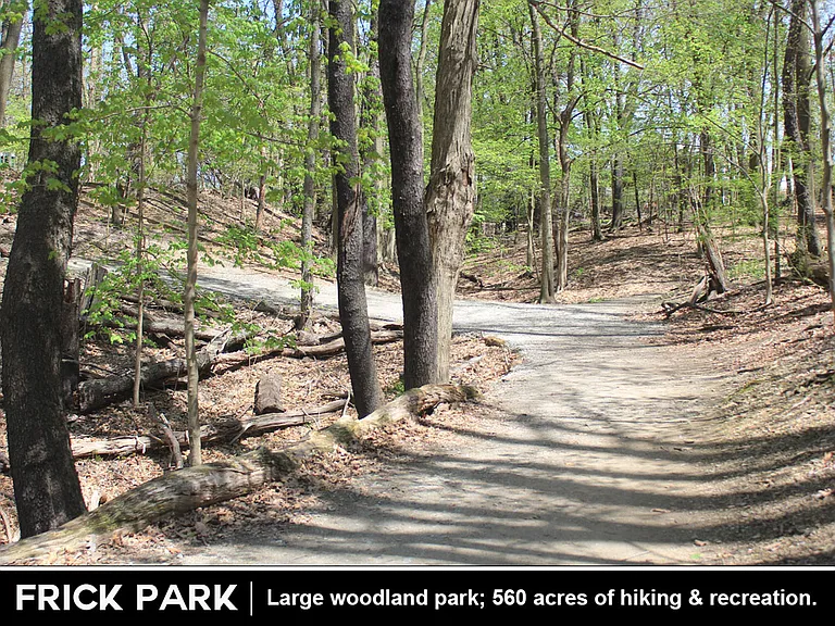 434 Biddle Ave #2 — Photo 25