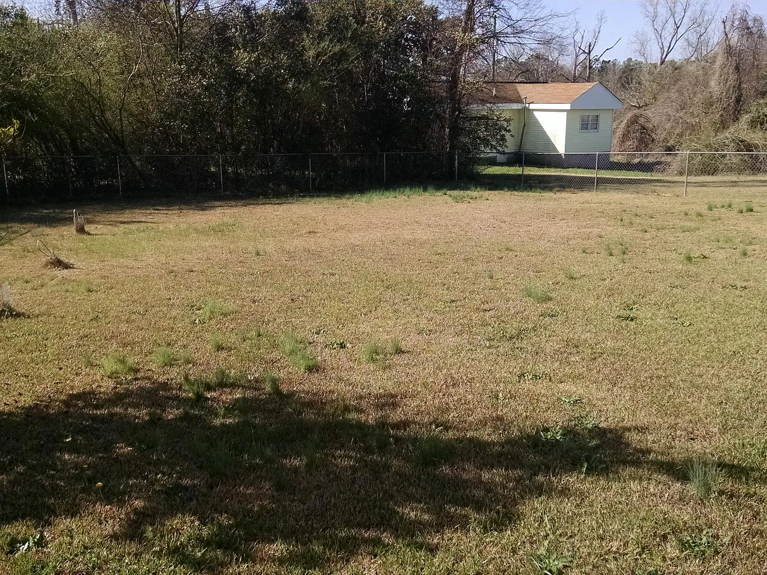 3 bed, 1.5 bath, 900 sqft, $975 — Photo 3