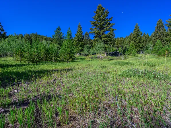 A1 Hill Brothers Rd, Clancy, MT 59634