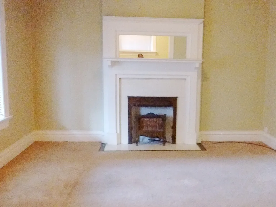 Fireplace in the living room