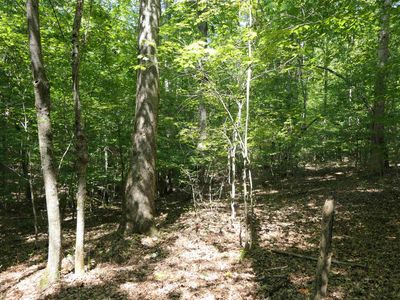 Jerusalem Rd, PACOLET, SC, 29372