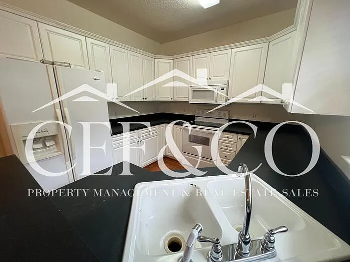 729 Lanyon Ln — Photo 8
