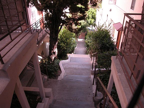 Perspective Of How High up the Apartment is Looking Down the