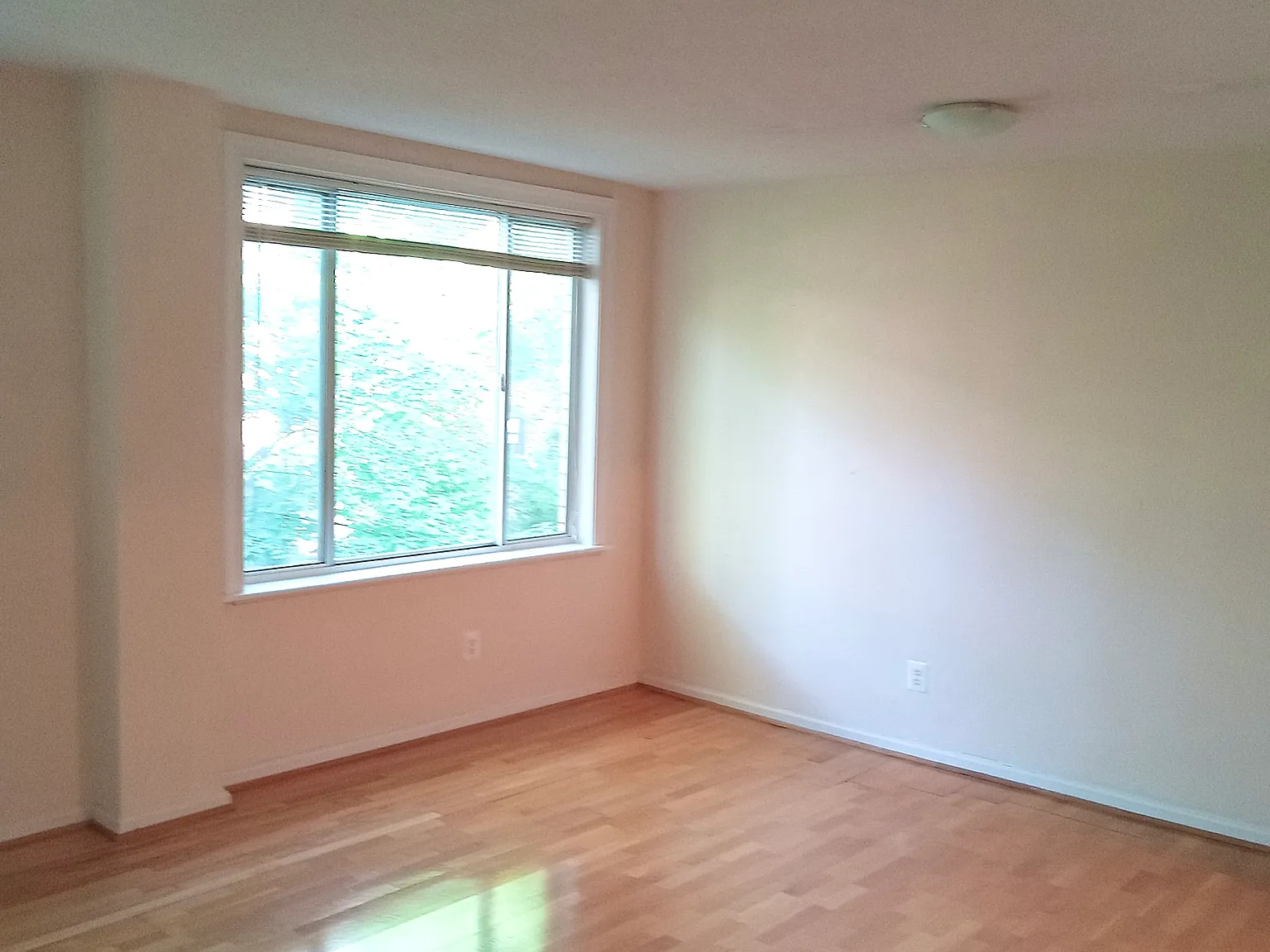 1 bed, 685 sqft, $2,100 — Photo 3