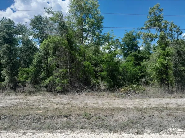 NE 63rd Pl #52, Williston, FL 32696