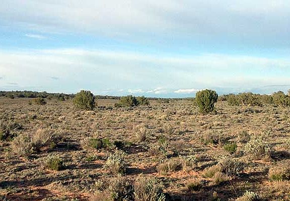 4th image of Arizona Park Lot 357