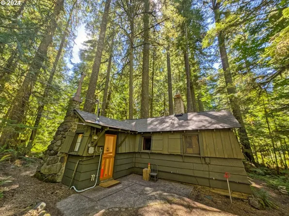 78830 E Road 35a #28, Government Camp, OR 97028