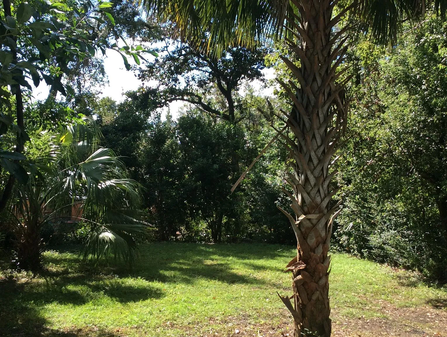 1 bed, 500 sqft, $1,250 — Photo 3
