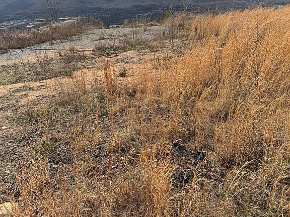 2nd image of 12 Scenic Hwy